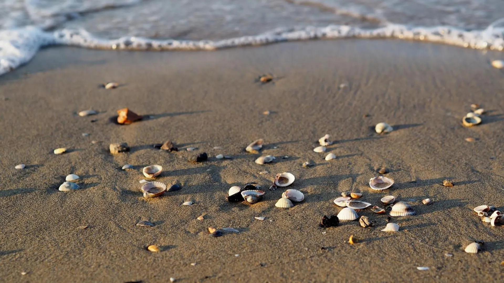 Enjoy Your Stay Only 100M From The Sea - Beahost Bibione